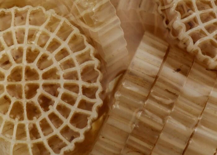 วินเจอร์ HDPE วัสดุ MBBR พลาสติก Biofilter สื่อที่มีพื้นผิวที่ดี