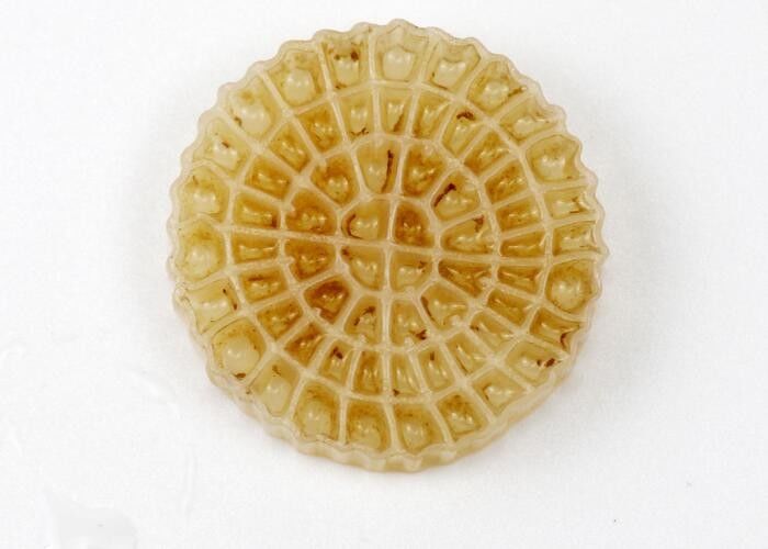 สารสกัดกรอง Biocell สําหรับการบําบัดน้ําเสีย ผู้ผลิตจีน ผู้ส่งออก Biocell